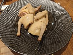花雕乳鸽-龙悦湾酒家·八阵鱼生·渔人码头店