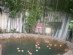 -观唐（国际）度假村温泉