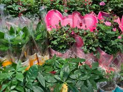 -盒马鲜生(皇庭广场店)