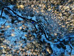 -峡谷浮石林景区