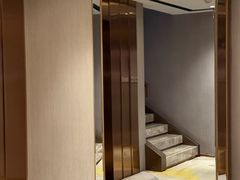 -金色希望596