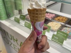 -Salud撒露欧洲冻酸奶(蓝色港湾店)