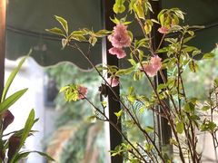 -默迹咖啡馆