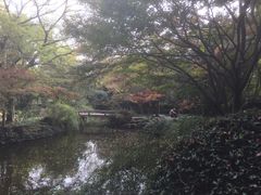 -秋霞圃