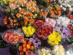 -宝鸡东道花鸟鱼虫市场(吉利花园商场店)