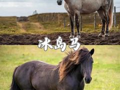 -多维国际马术俱乐部(118广场店)