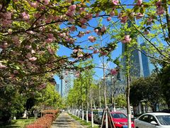 -天鹅湖体育公园