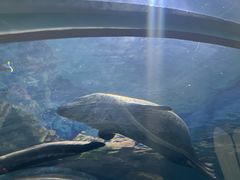 -青岛海底世界-水族馆