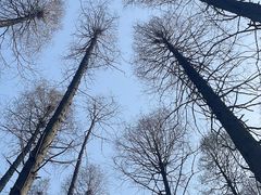 -同里国家湿地公园