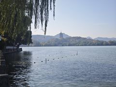 -杭州西湖柳莺里酒店·闻莺厅