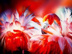 -罗红摄影艺术馆