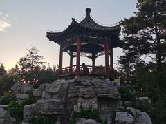 -大兴滨河森林公园