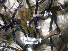 -布吉农产品批发市场