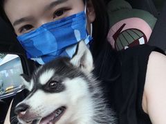 -宠宠动物医院(金鸡岭街店)