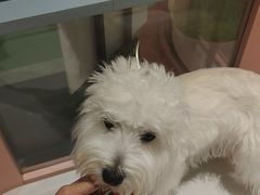-FAELING PETS美天灵宠物(合生汇店)
