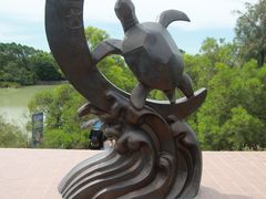 -广东惠东海龟国家级自然保护区