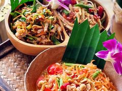 -西双版纳原始森林公园