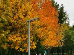 -首都医科大学宣武医院