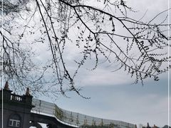 -黑龙江省森林植物园