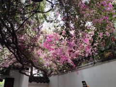 -深圳国际园林花卉博览园