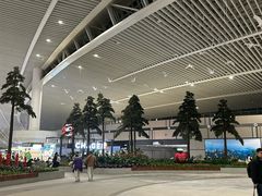 -青岛胶东国际机场