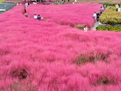 -江苏三台山国家森林公园
