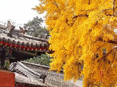 -承恩寺