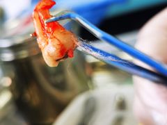 -上海市杨浦区牙病防治所