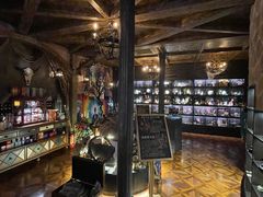 -雪灵魔法世界SHELLY’S TAROT(大良桂畔里店)