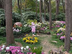 -共青国家森林公园-售票处