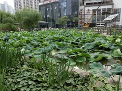 -苏州河梦清园环保主题公园