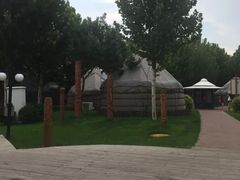 -九十九顶毡房(阜石路店)