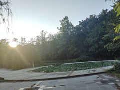 -洛阳市隋唐城遗址植物园