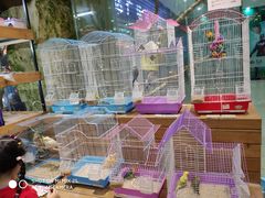 -龟与熊猫宠物公园(南坪店)