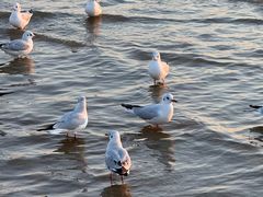 -老虎石海上公园