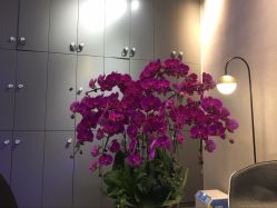 -SEBASTIAN塞巴斯汀