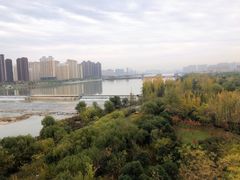 -西安浐灞国家湿地公园