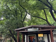 -马王堆汉墓遗址
