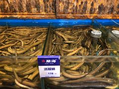 -开海·红岛海鲜虾水饺(石老人店)