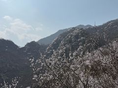 -北京凤凰岭