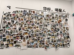 -瑞派·关忠动物医院·猫专科·犬专科(三环新城店)