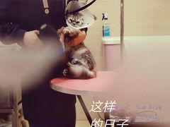 -全心全意连锁动物医院(石景山店)