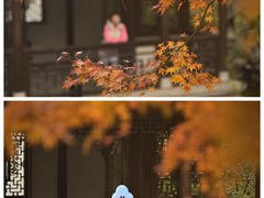 -嘉定博物馆