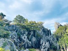 -千岛湖石林