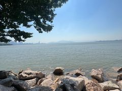 -深圳湾公园(南山区)