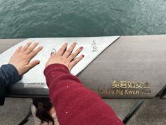 -星光大道