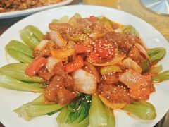 菜心牛蹄筋-清真双宝红油牛系列