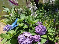 -人民公园(罗湖区)