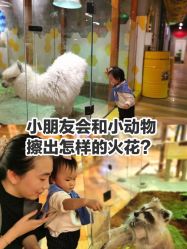 -七巧国萌宠乐园(龙湖天街店)