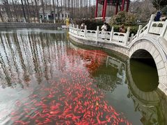 -湛山寺